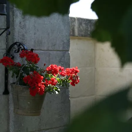 La Nel Bosco Selva Di Fasano