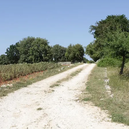 La Nel Bosco Bed and Breakfast 3*