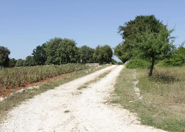 La Nel Bosco Bed & Breakfast 3*